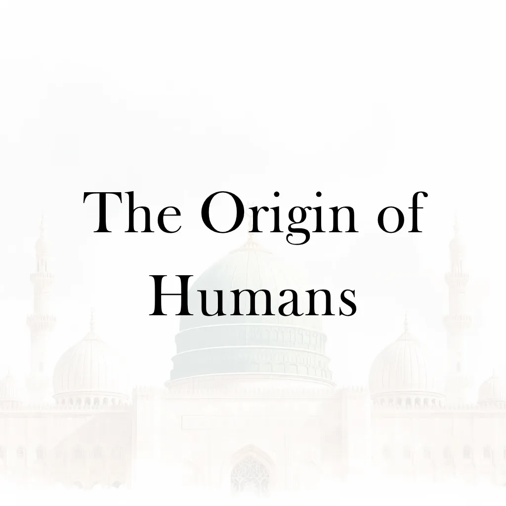 Lesson 11 – The Origin of Humans